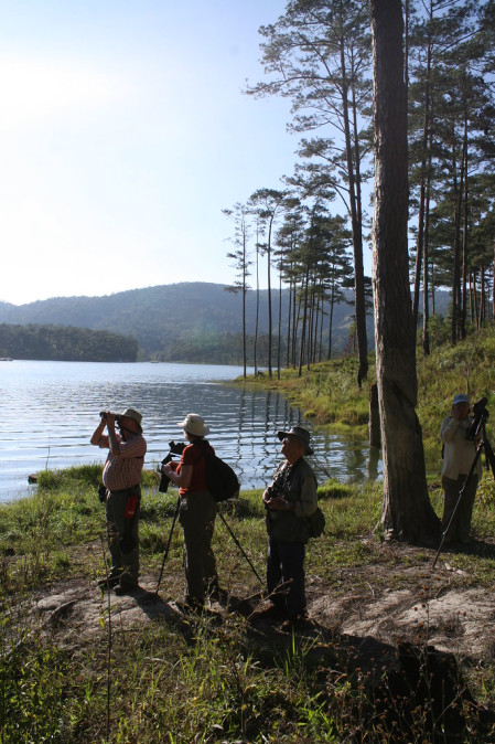 In the cooler climes of the Da Lat plateau, we'll continue our birding