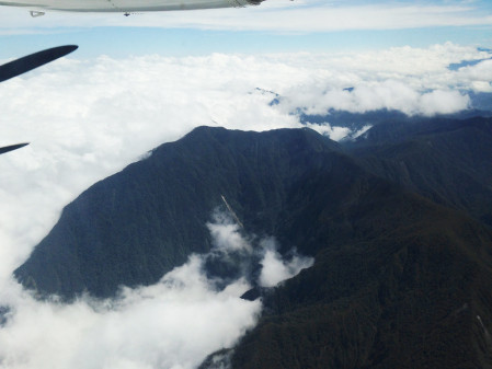 During the flight to Bahia Solano on the Pacific coast, we will have an overview of the amazing pristine humid forests of the Choco ecoregion.