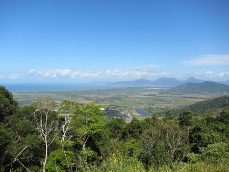 We then will leave the coastline behind, climbing up to the idyllic Atherton Tablelands.