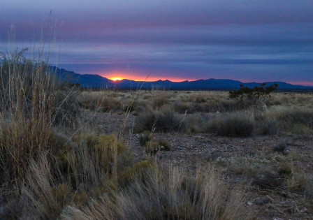 ...and the Chihuahuan Desert grasslands, here at sunrise.