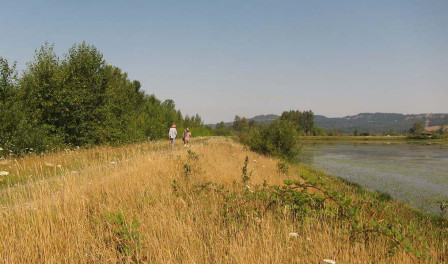 Late summer is a fine time to start our tour at Ankeny National Wildlife Refuge in the heart of the Willamette Valley.