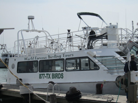 A boat trip out to Aransas National Wildlife Refuge ...