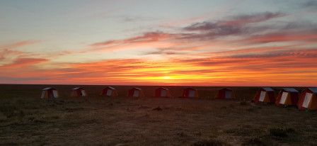 Being traditionally a nomadic people, our agents in Kazkhstan know how to camp and we have two comfortable nights under canvas, surrounded by birds